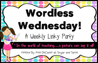 Wordless Wednesday:  Organized From the Get Go!