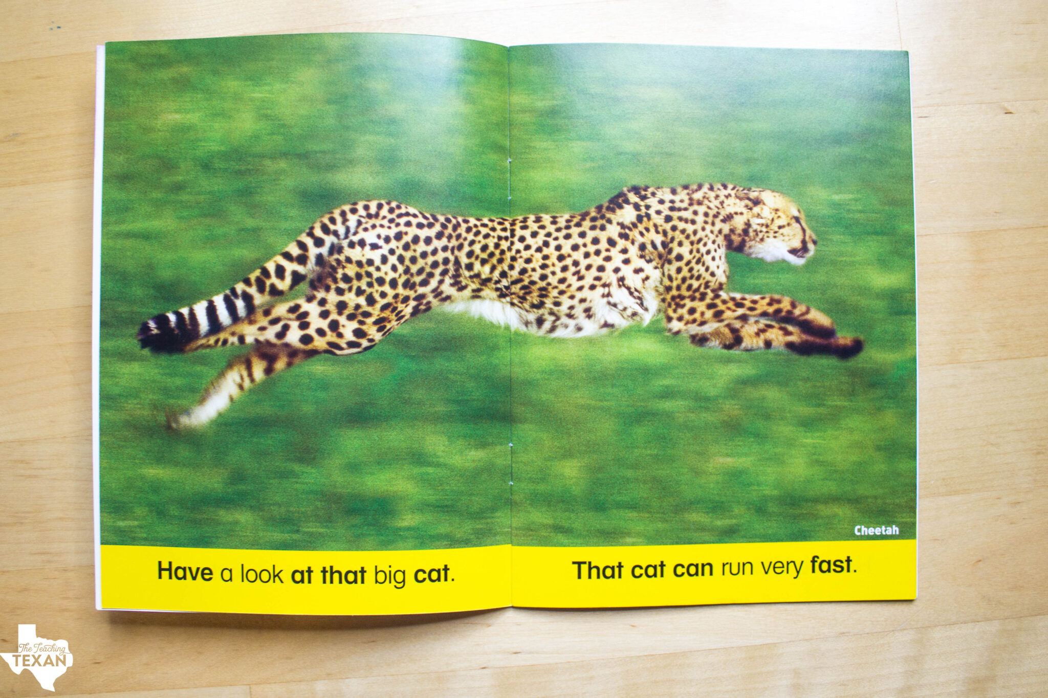 Phoneic Decoding Building Blocks of Reading: Phonics and Phonetic Decoding – The ...