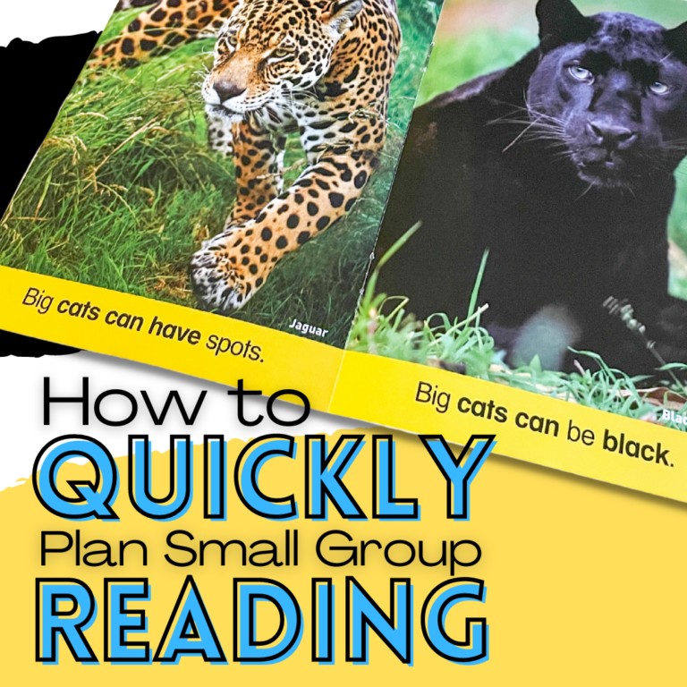 How to Quickly Plan Small Group Reading with a Structured Literacy Approach
